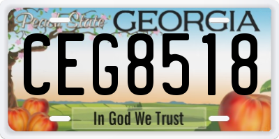 GA license plate CEG8518
