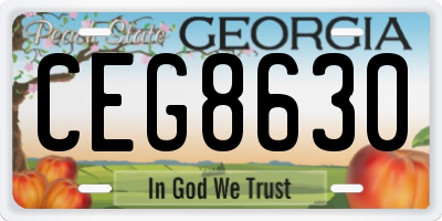 GA license plate CEG8630