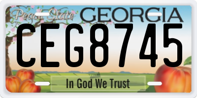 GA license plate CEG8745