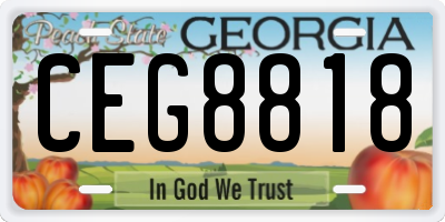 GA license plate CEG8818