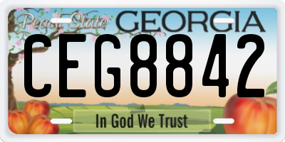 GA license plate CEG8842