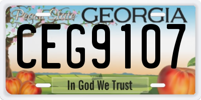 GA license plate CEG9107