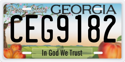 GA license plate CEG9182