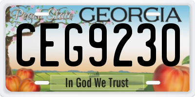 GA license plate CEG9230