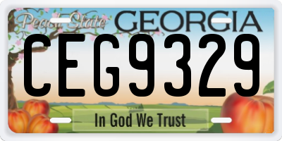GA license plate CEG9329