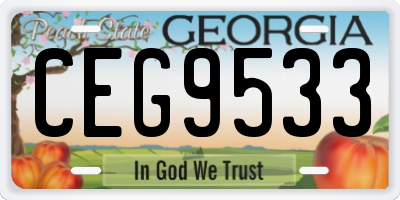 GA license plate CEG9533