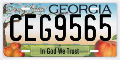 GA license plate CEG9565