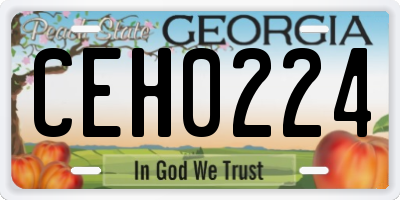GA license plate CEH0224