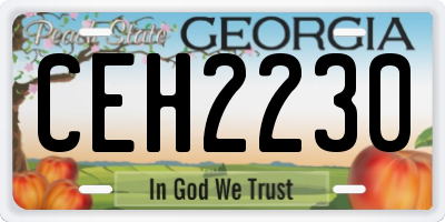 GA license plate CEH2230