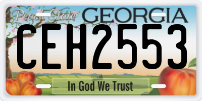 GA license plate CEH2553