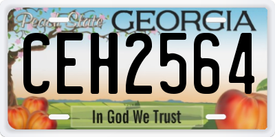 GA license plate CEH2564
