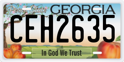 GA license plate CEH2635