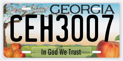 GA license plate CEH3007