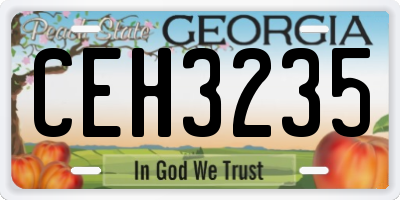 GA license plate CEH3235