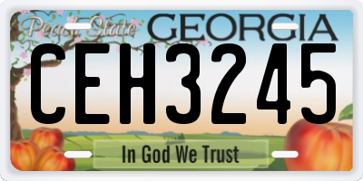 GA license plate CEH3245