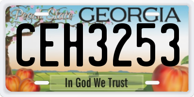 GA license plate CEH3253