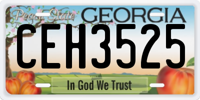 GA license plate CEH3525