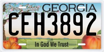 GA license plate CEH3892