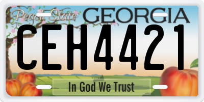 GA license plate CEH4421