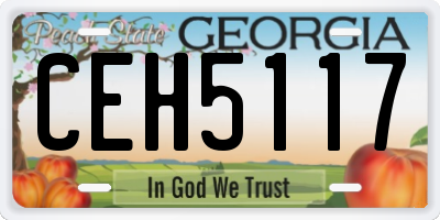GA license plate CEH5117