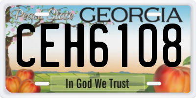GA license plate CEH6108
