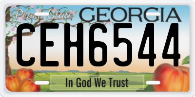 GA license plate CEH6544