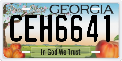 GA license plate CEH6641