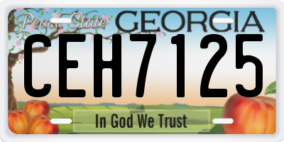 GA license plate CEH7125