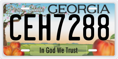 GA license plate CEH7288