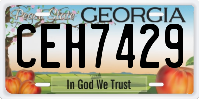 GA license plate CEH7429