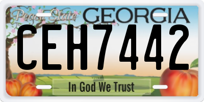 GA license plate CEH7442