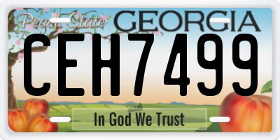 GA license plate CEH7499