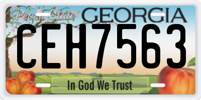 GA license plate CEH7563