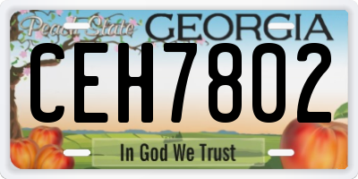 GA license plate CEH7802