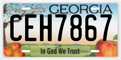 GA license plate CEH7867