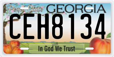 GA license plate CEH8134