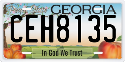GA license plate CEH8135