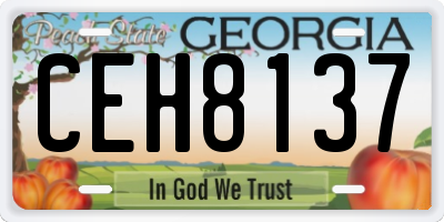 GA license plate CEH8137