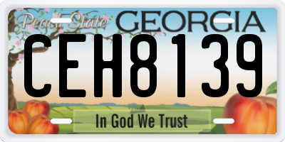 GA license plate CEH8139