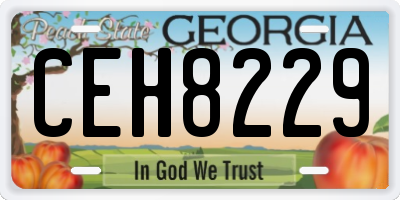 GA license plate CEH8229