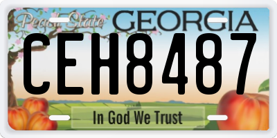 GA license plate CEH8487