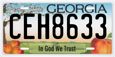 GA license plate CEH8633
