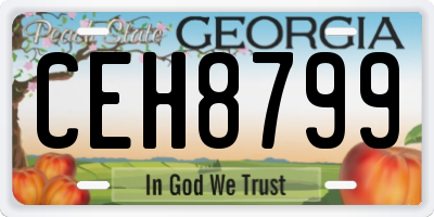 GA license plate CEH8799