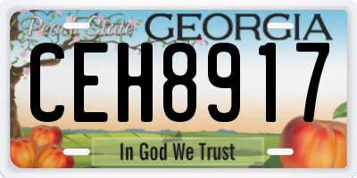 GA license plate CEH8917