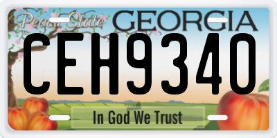 GA license plate CEH9340
