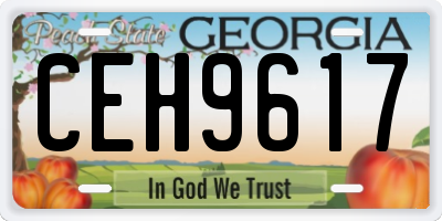 GA license plate CEH9617