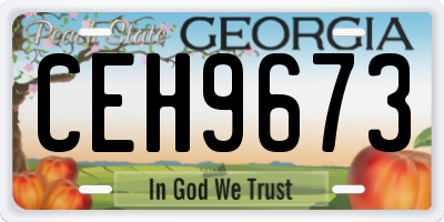 GA license plate CEH9673