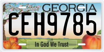 GA license plate CEH9785