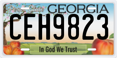 GA license plate CEH9823