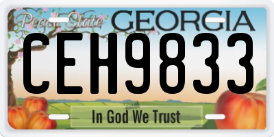 GA license plate CEH9833